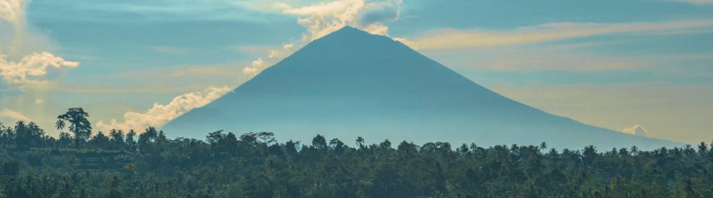 الطيران إلى بالي