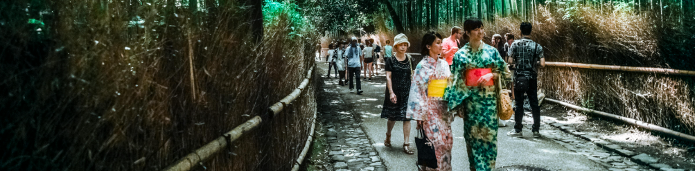 Arashiyama Bamboo Grove Kyoto 2025
