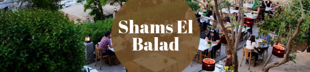 ديكور داخلي خشبي بسيط في شمس البلد مع ضوء طبيعي