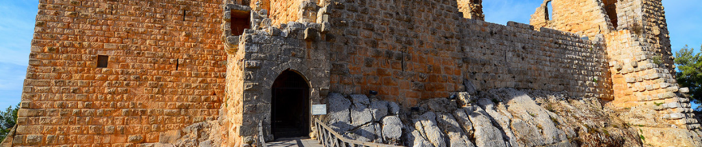 قلعة عجلون على قمة التل بين غابات الزيتون