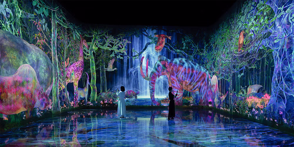 teamLab Planets طوكيو 2025 | تجربة الضوء والفن الرقمي الأشهر في اليابان (الموقع + الأسعار + التذاكر)