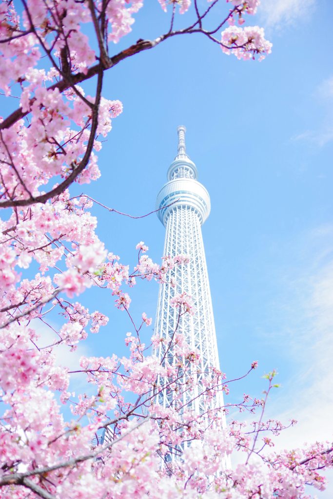 alt="Tokyo Skytree طوكيو سكاي تري 2025 — منظر البرج من الأسفل حتى القمة"