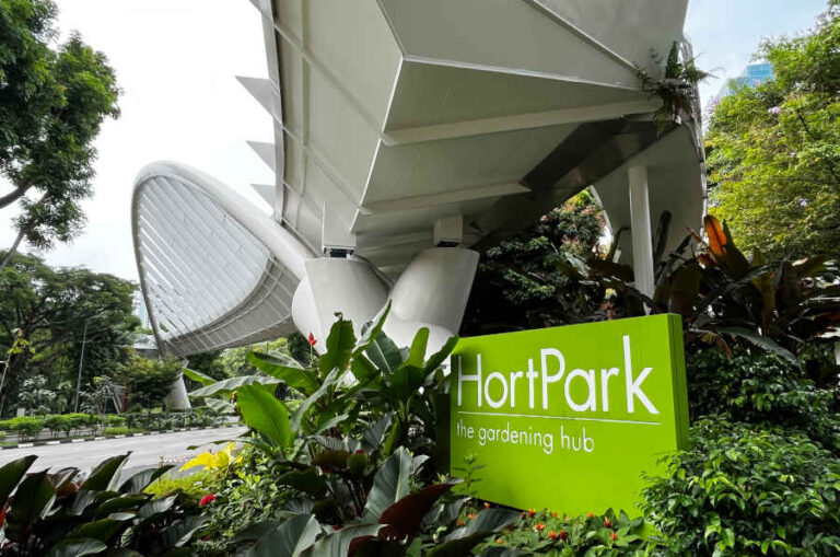 Manicured lawns and themed gardens at HortPark under clear skies