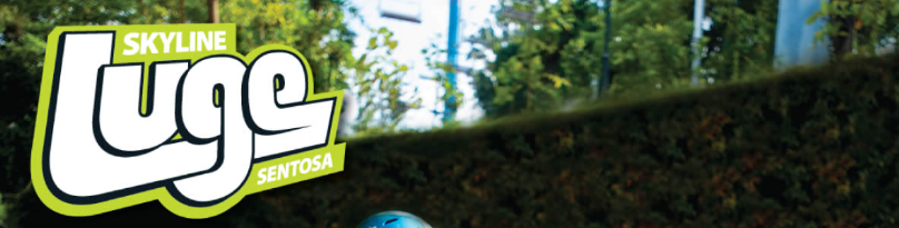 مسار Skyline Luge Sentosa بمنعطفات لطيفة عبر أشجار كثيفة