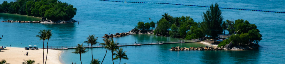 شاطئ رملي ونخيل مع ممرات للمشاة في Sentosa Island جزيرة سنتوسا 