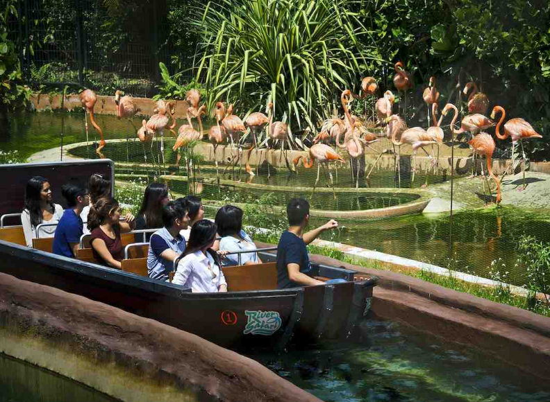 Reservoir Cruise boat sailing  River Wonders Singapore on the calm reservoir beside the park