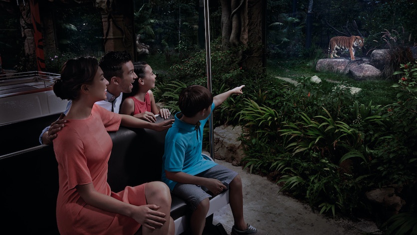 Night Safari Singapore tram passing through animal habitats in Singapore