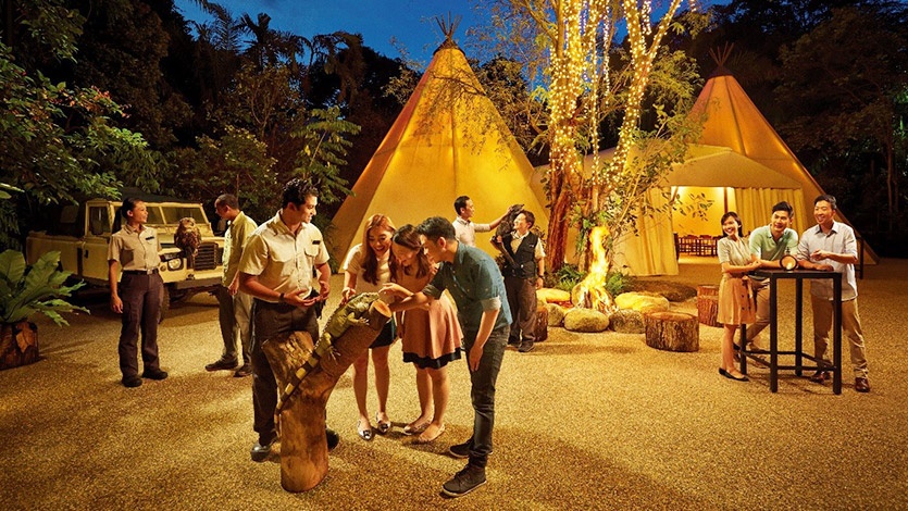 Live nocturnal animal presentation on an outdoor stage at Night Safari singapore