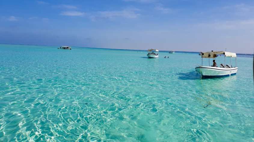 أملج المالديف للسعودية 